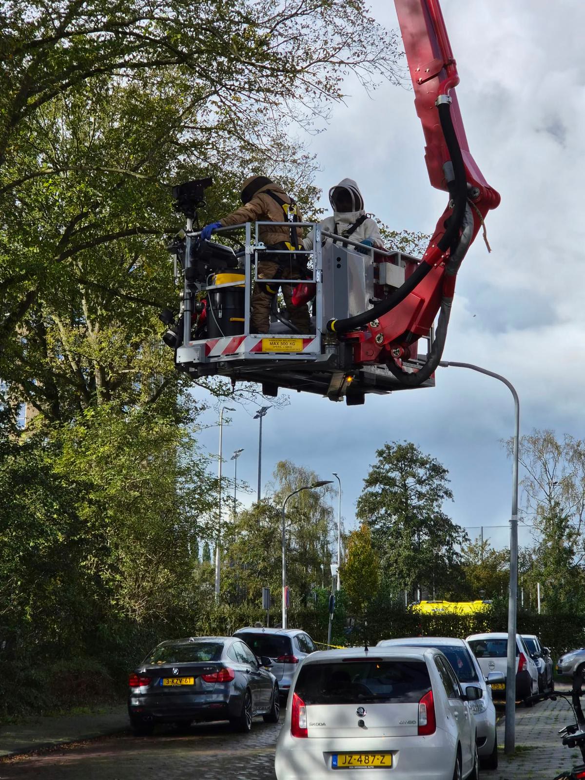 Samen met de brandweer: hoornaarnest hoog in de boomkruin — foto 2