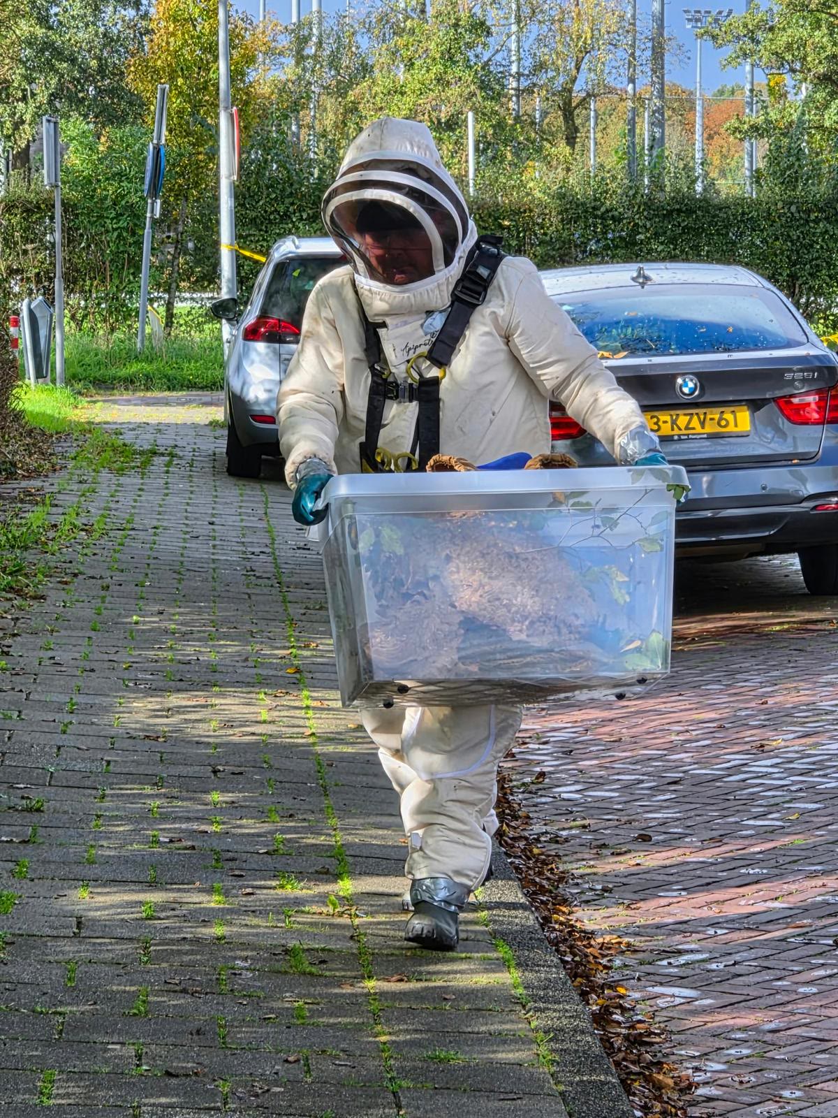 Samen met de brandweer: hoornaarnest hoog in de boomkruin — foto 7