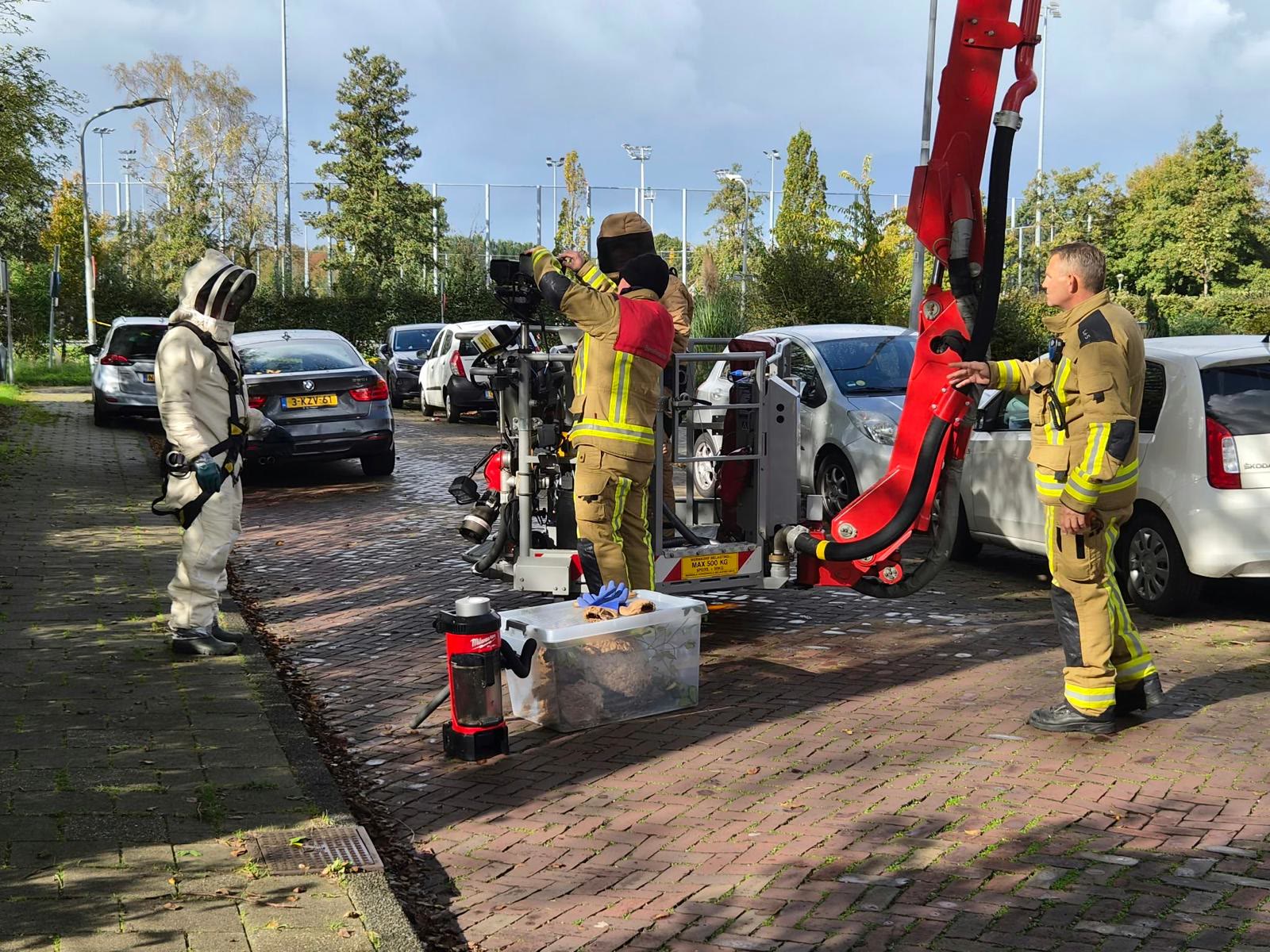 Samen met de brandweer: hoornaarnest hoog in de boomkruin — foto 5