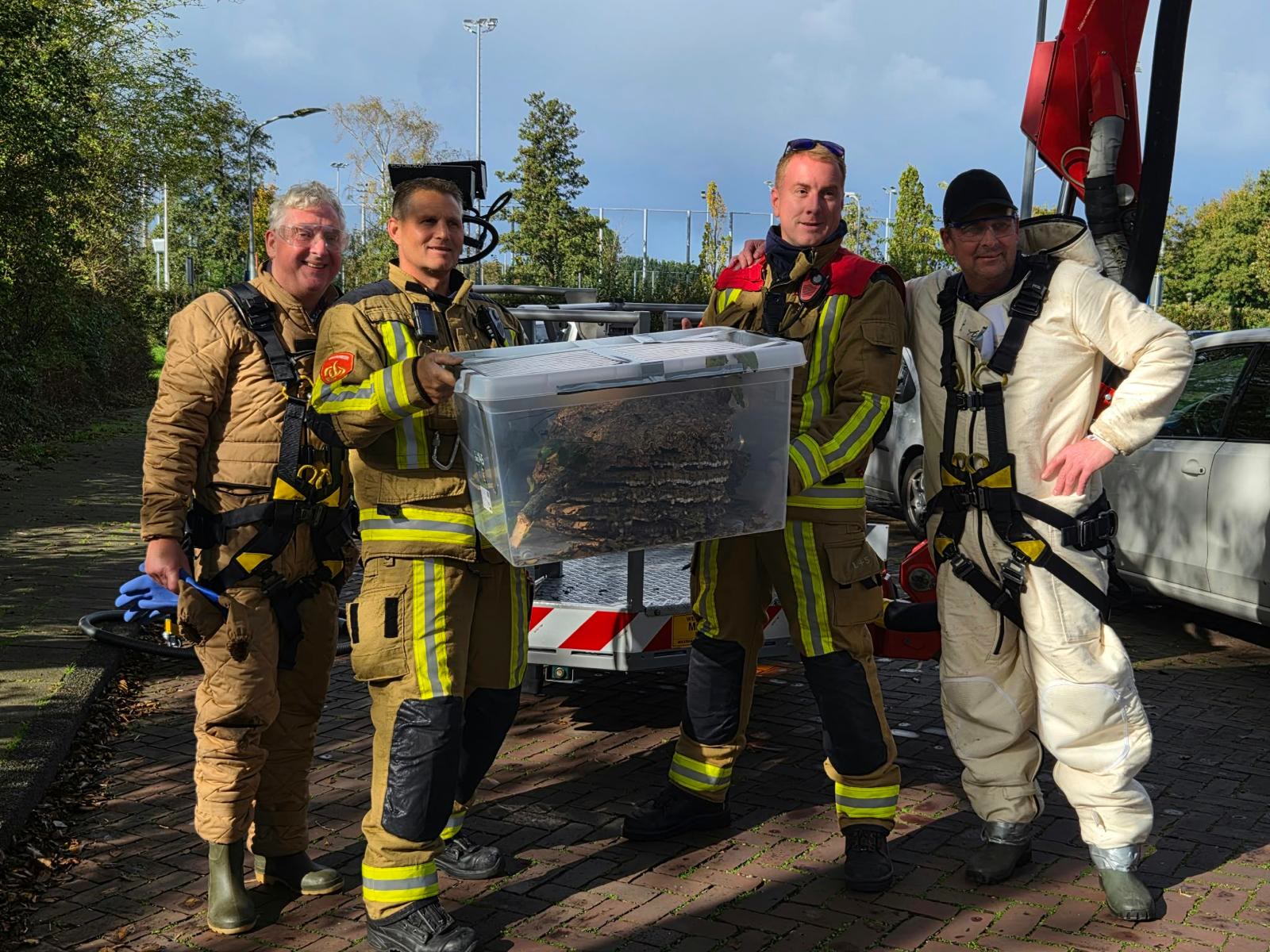 Samen met de brandweer: hoornaarnest hoog in de boomkruin