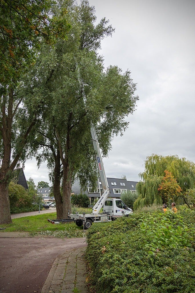 Hoogwerker uitgeschoven in een boom in een Nederlandse woonwijk
