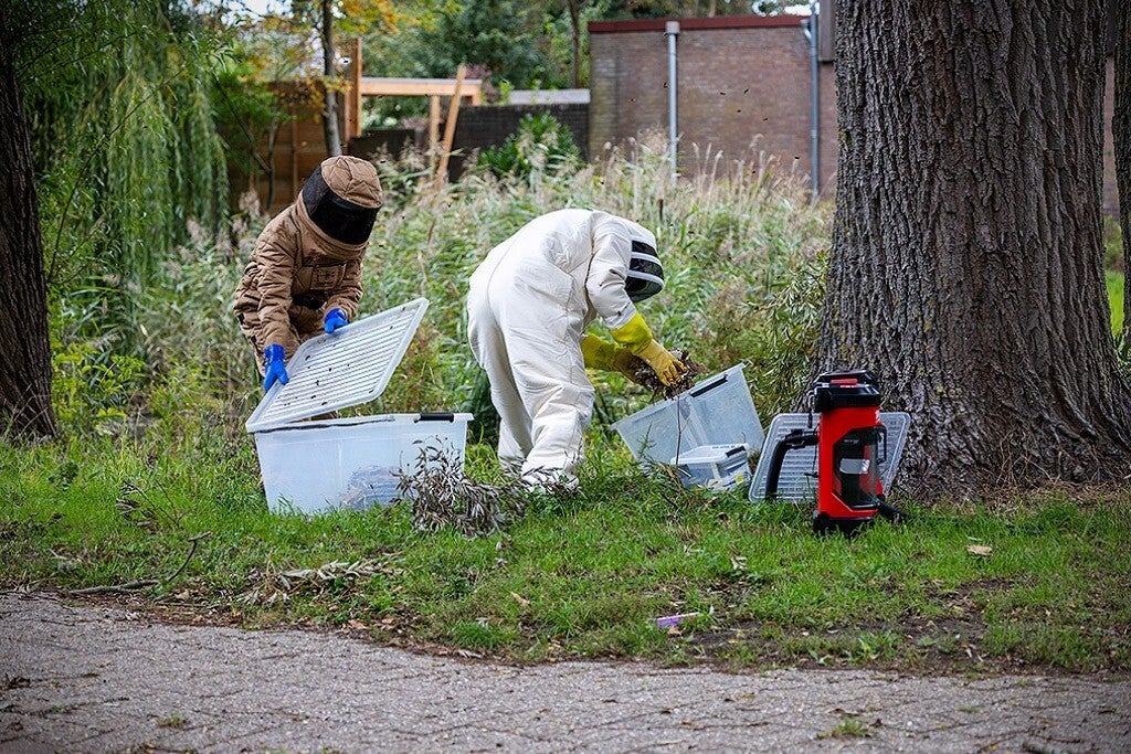 Team verwerkt een verwijderd nest in containers naast de hoogwerker