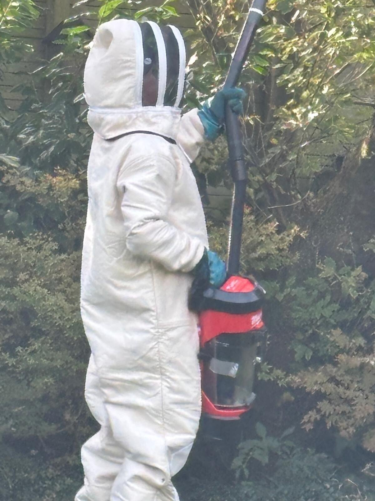 Medewerker in beschermend pak met professionele insectenzuiger